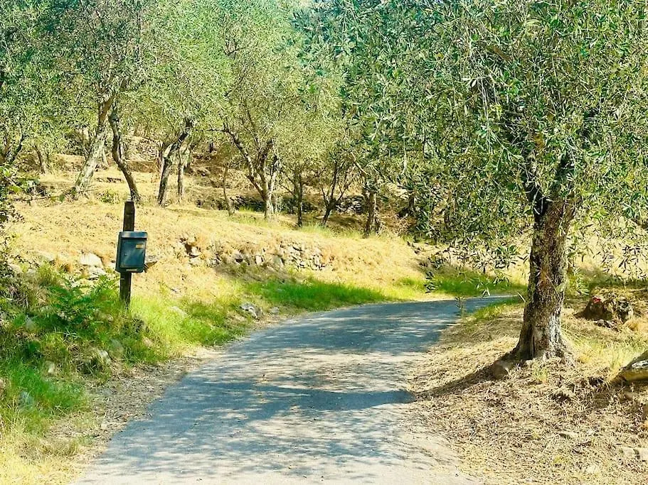 Le Acacie - Casa Panoramica Tra Gli Olivi Villa Calci 0*,