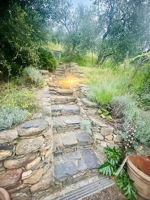 Semesterbostad Le Acacie - Casa Panoramica Tra Gli Olivi Villa Calci
