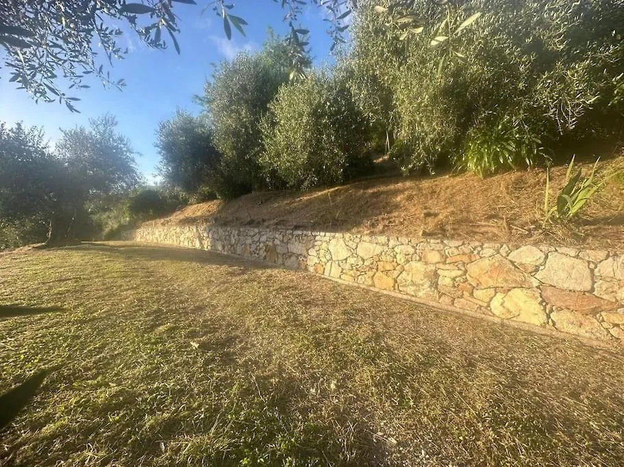 Le Acacie - Casa Panoramica Tra Gli Olivi Villa Calci 0*,  Italien