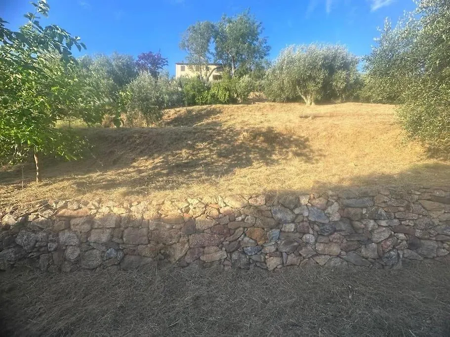 Le Acacie - Casa Panoramica Tra Gli Olivi Villa Calci Semesterbostad