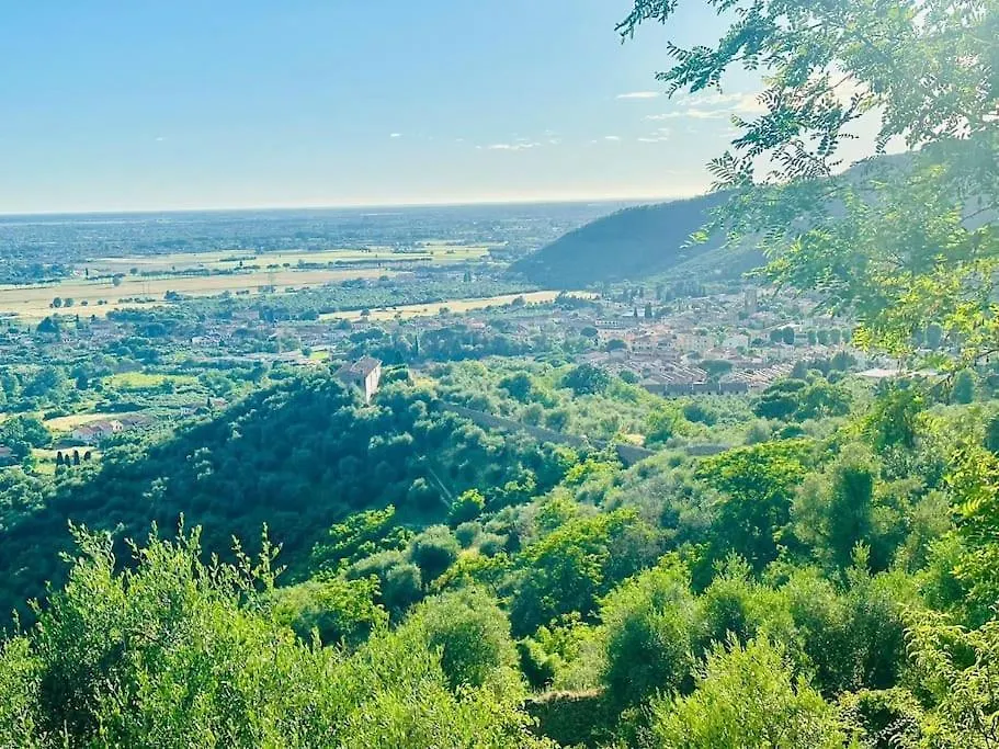 Holiday home Le Acacie - Casa Panoramica Tra Gli Olivi Villa Calci