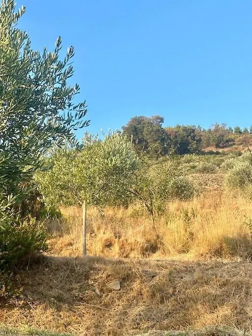 Le Acacie - Casa Panoramica Tra Gli Olivi Villa Calci