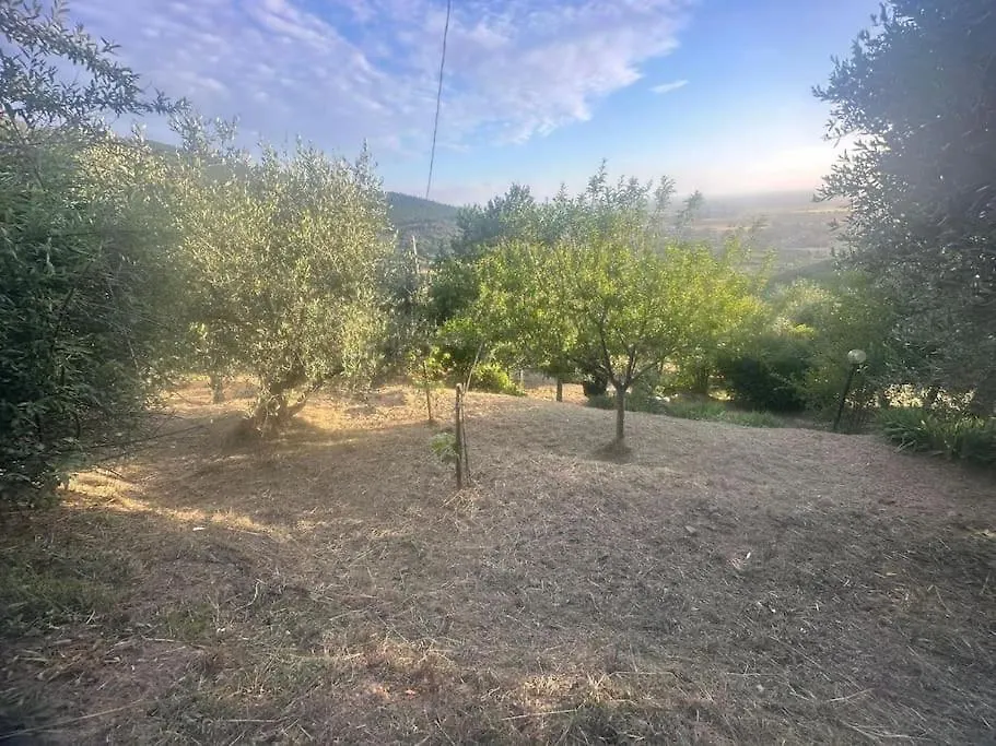 Holiday home Le Acacie - Casa Panoramica Tra Gli Olivi Villa Calci
