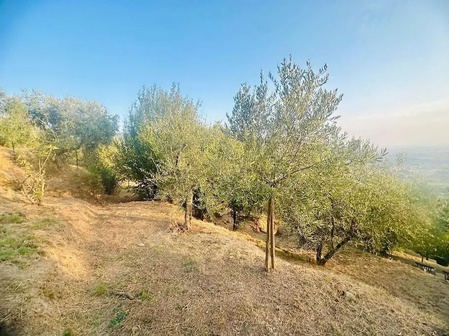 Le Acacie - Casa Panoramica Tra Gli Olivi Villa Calci 0*,  Italy