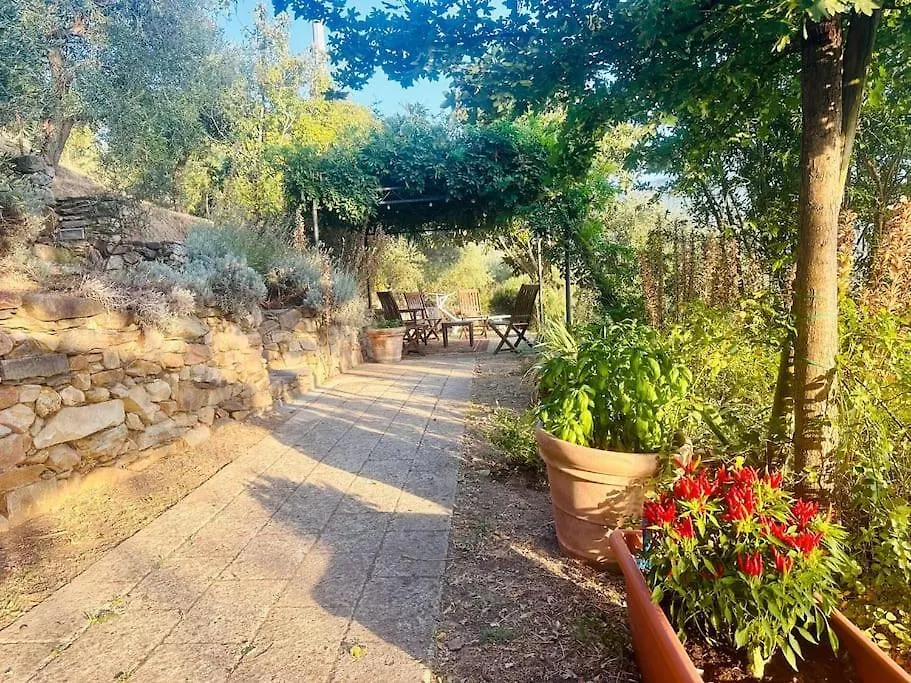 Le Acacie - Casa Panoramica Tra Gli Olivi Villa Calci Holiday home