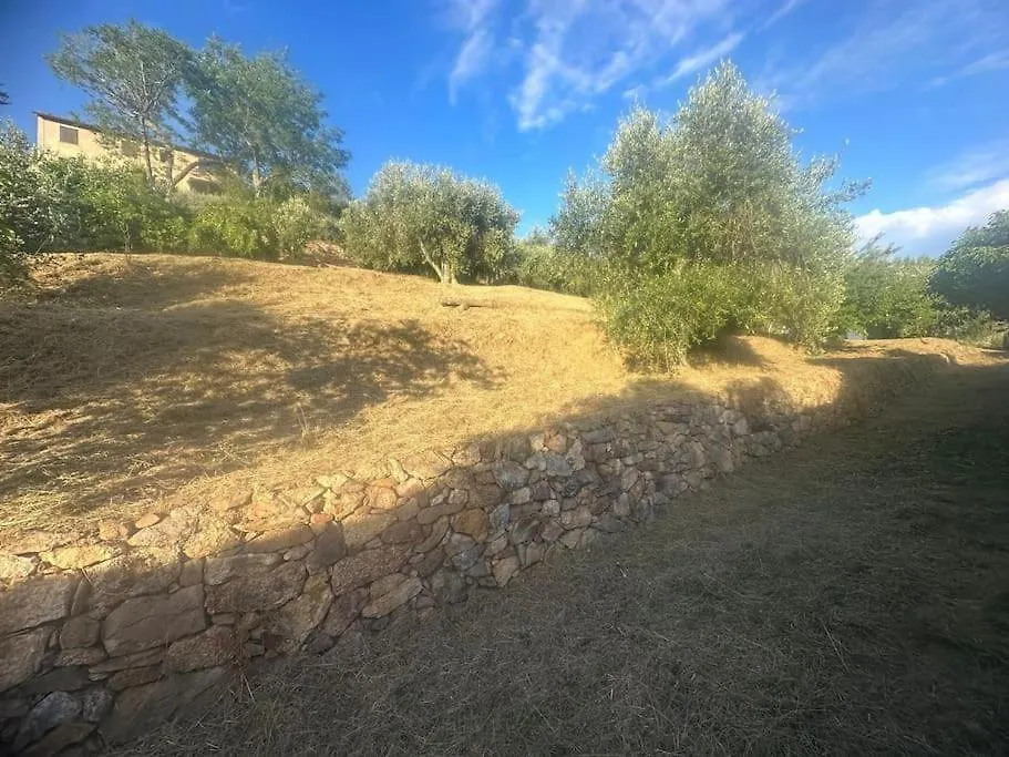 Le Acacie - Casa Panoramica Tra Gli Olivi Villa Calci