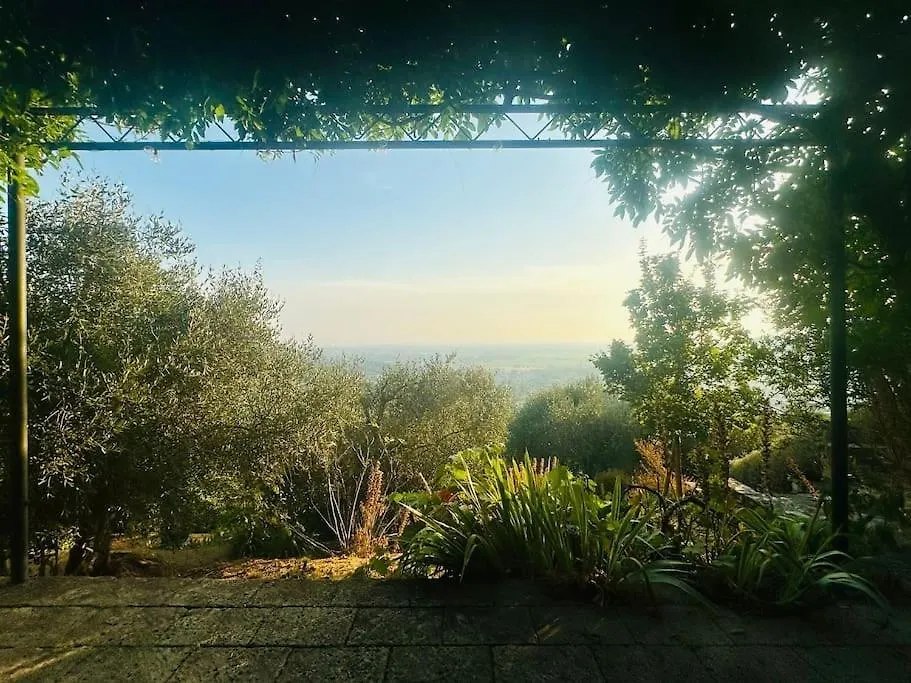 Le Acacie - Casa Panoramica Tra Gli Olivi Villa Calci Italy