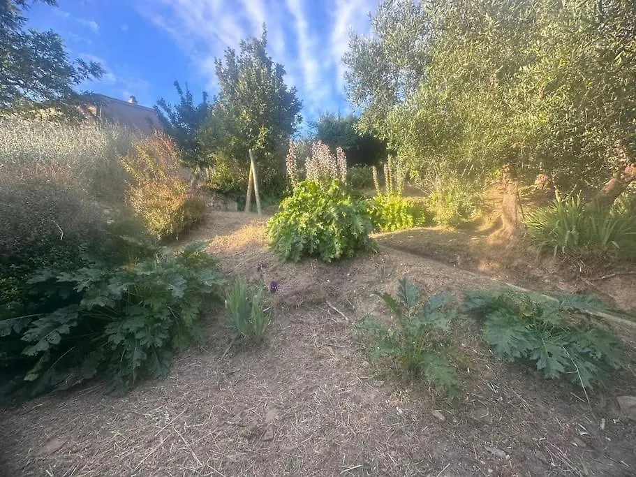 Le Acacie - Casa Panoramica Tra Gli Olivi Villa Calci Holiday home
