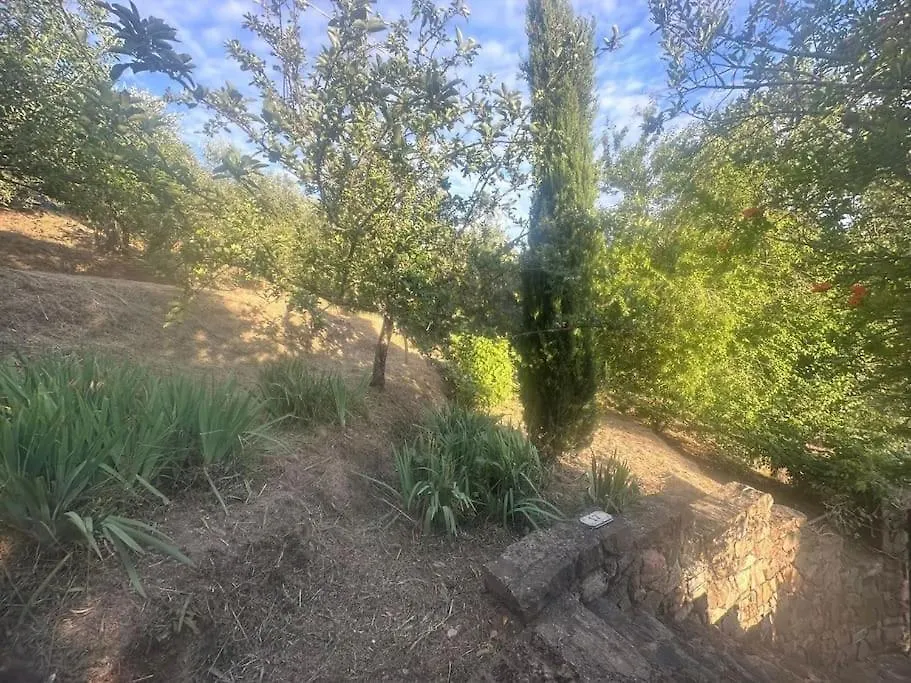 Le Acacie - Casa Panoramica Tra Gli Olivi Villa Calci 0*,