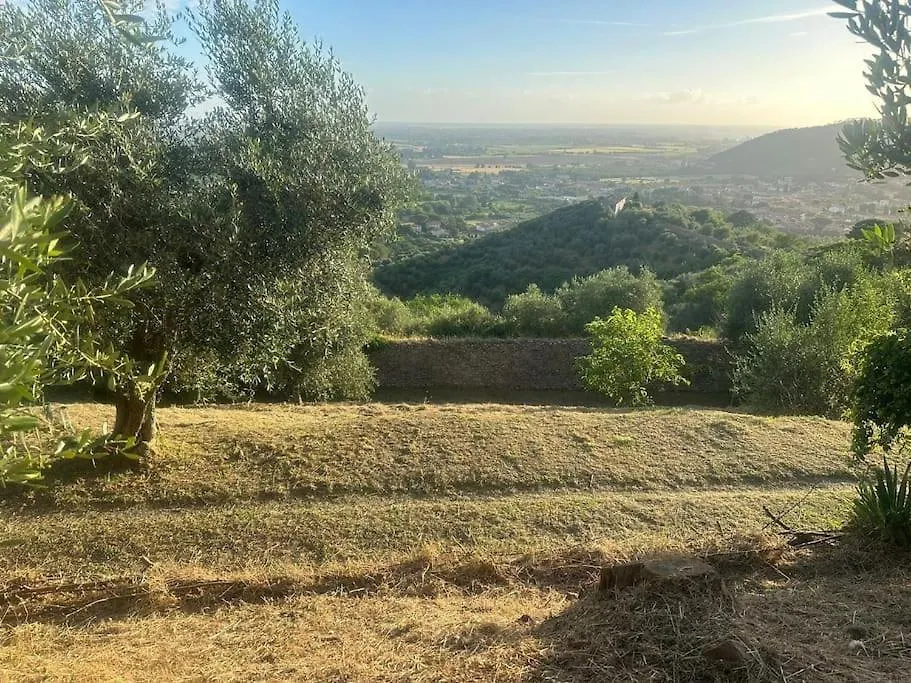 Le Acacie - Casa Panoramica Tra Gli Olivi Villa Calci