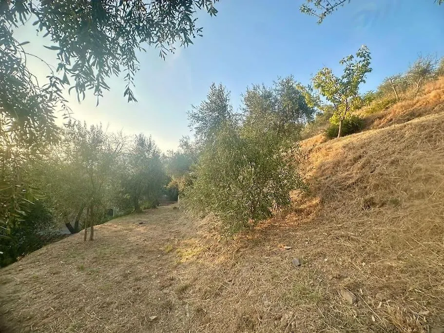 Le Acacie - Casa Panoramica Tra Gli Olivi Villa Calci Italy