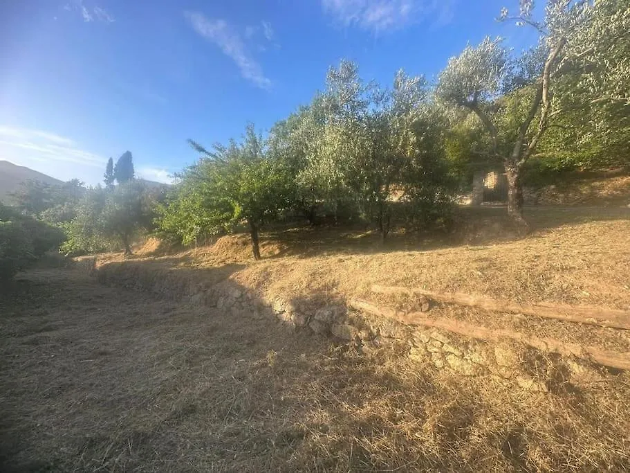 Le Acacie - Casa Panoramica Tra Gli Olivi Villa Calci 0*,  Italy