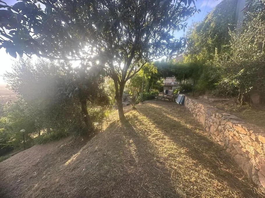 Le Acacie - Casa Panoramica Tra Gli Olivi Villa Calci Holiday home