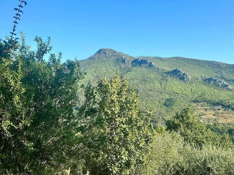 Le Acacie - Casa Panoramica Tra Gli Olivi Villa Calci 0*,