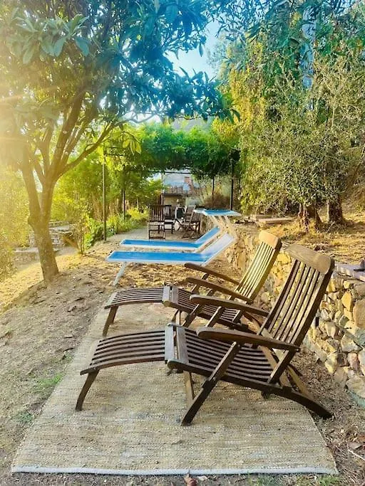 Le Acacie - Casa Panoramica Tra Gli Olivi Villa Calci 0*,