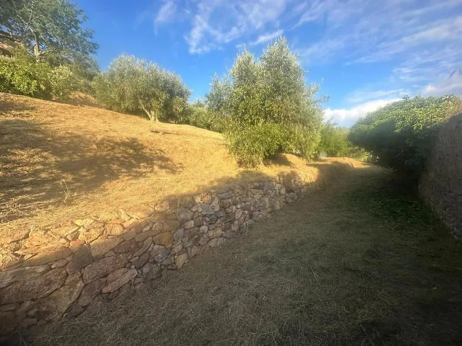 Holiday home Le Acacie - Casa Panoramica Tra Gli Olivi Villa Calci Italy