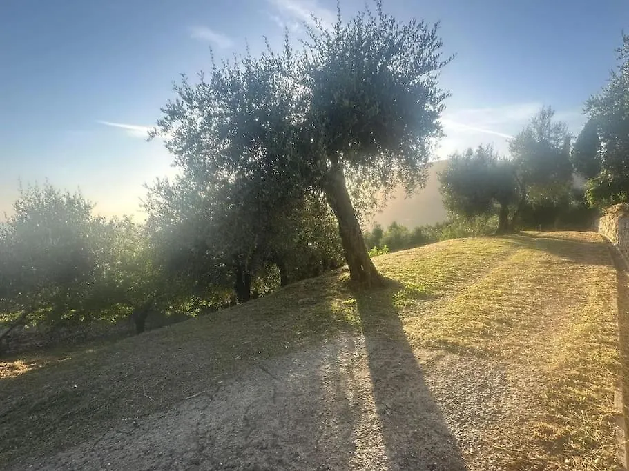 Le Acacie - Casa Panoramica Tra Gli Olivi Villa Calci Holiday home
