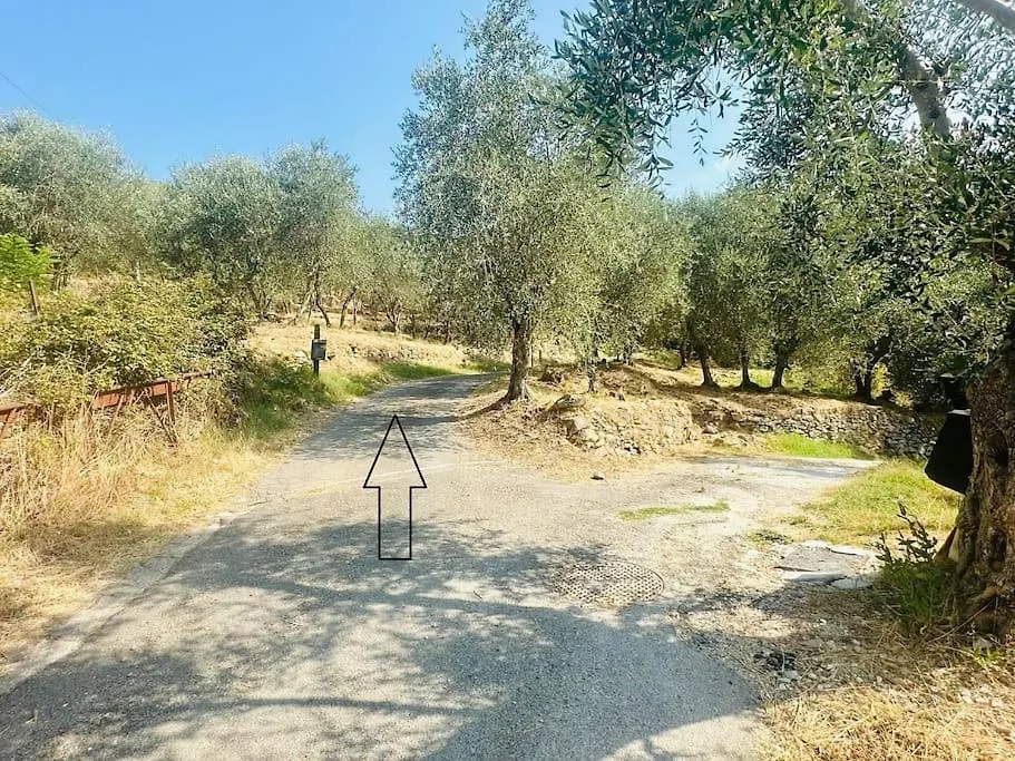 Le Acacie - Casa Panoramica Tra Gli Olivi Villa Calci